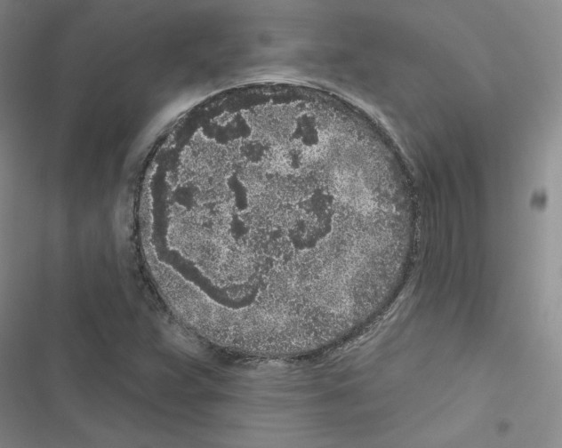 X0000116431359201001191502