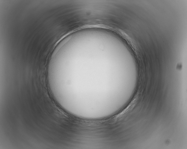 X0000116431361201001191502