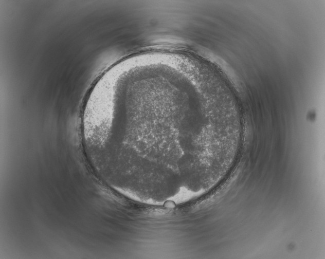 X0000116431362201001191502