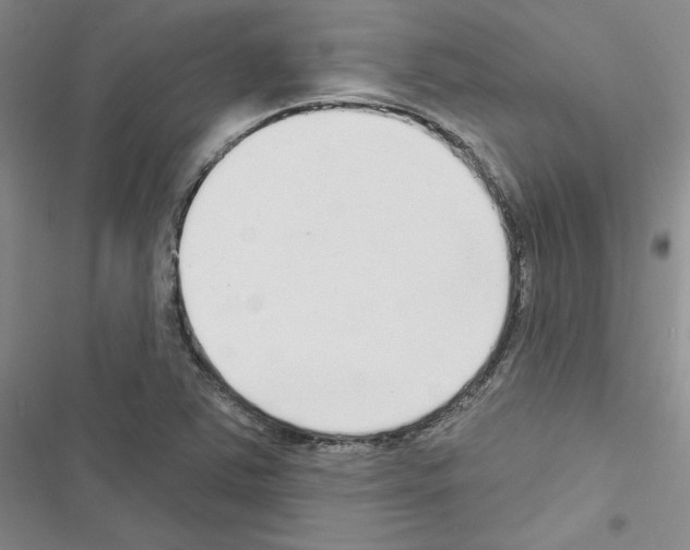 X0000116431363201001191502