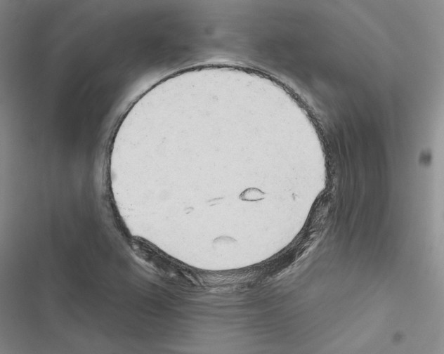 X0000116431367201001191502