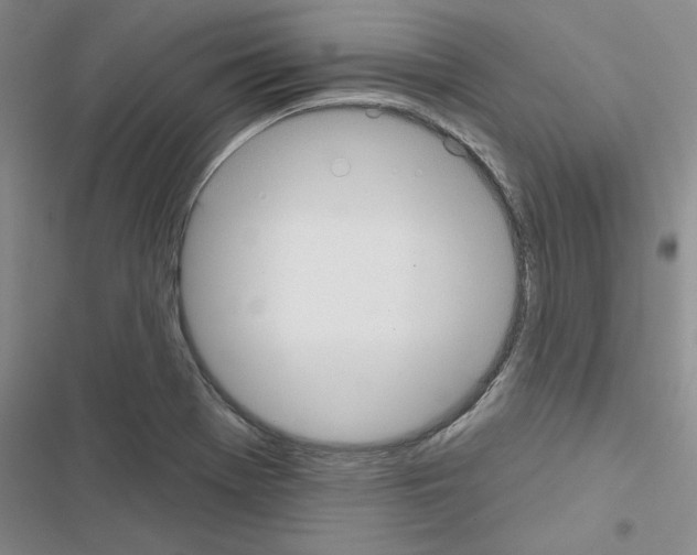 X0000116431369201001191502