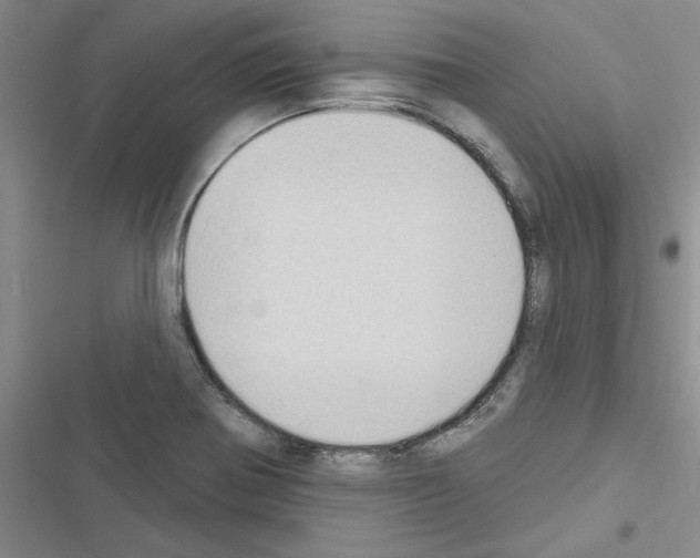 X0000116431370201001191502