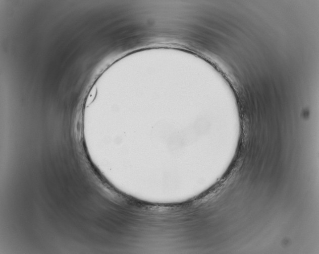 X0000116431371201001191502