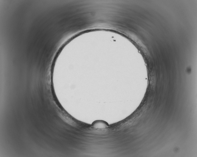 X0000116431372201001191502
