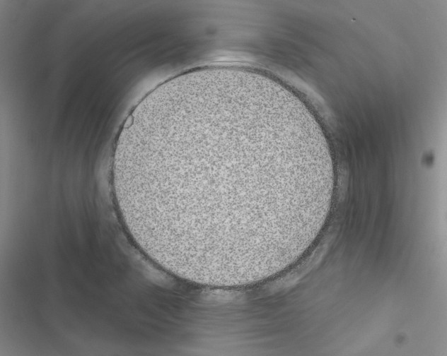 X0000116431374201001191502