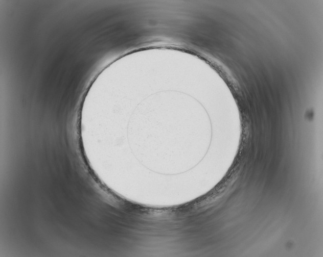X0000116431375201001191502