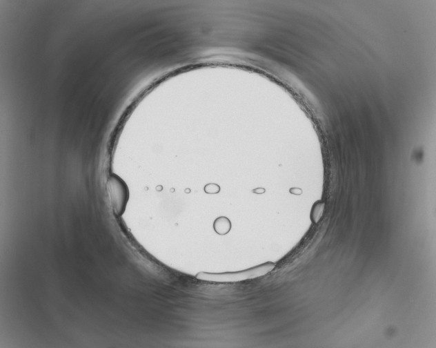 X0000116431376201001191502