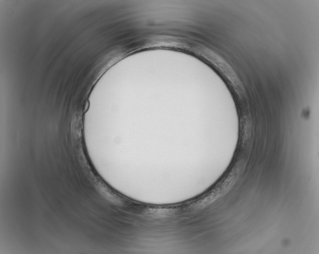 X0000116431377201001191502