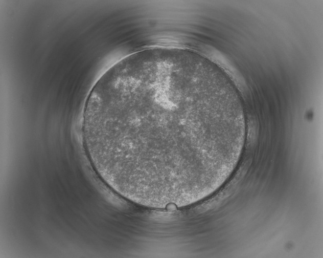X0000116431378201001191502