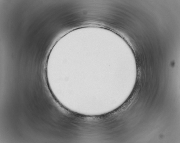 X0000116431379201001191502