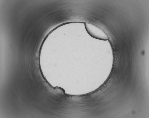 X0000116431380201001191502