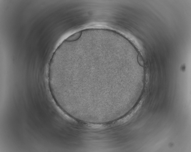 X0000116431382201001191502