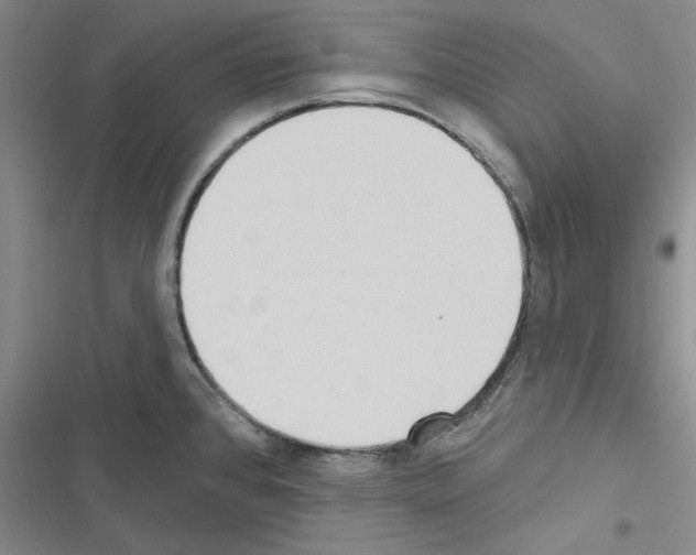 X0000116431384201001191502