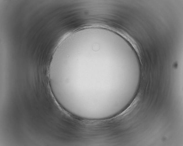 X0000116431385201001191502