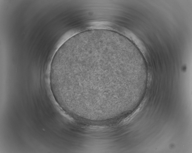 X0000116431386201001191502