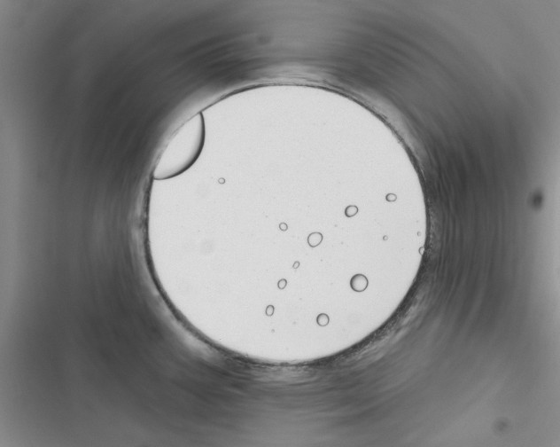 X0000116431387201001191502