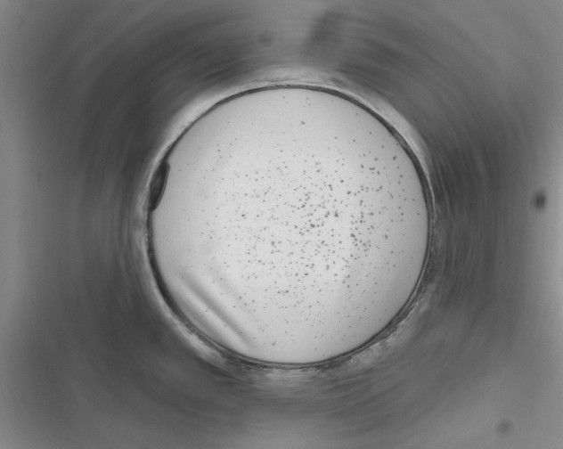 X0000116431389201001191502