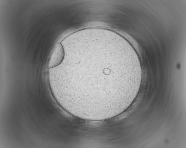 X0000116431390201001191502