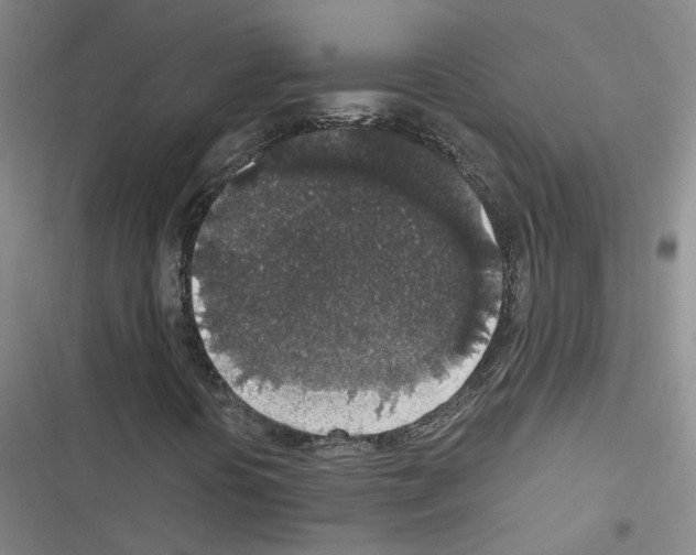 X0000116431394201001191501