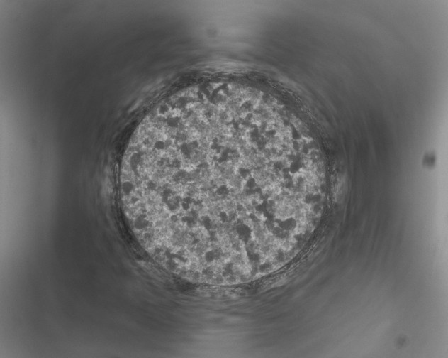 X0000116431397201001191501