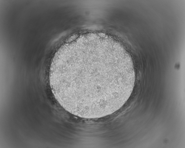 X0000116431398201001191501