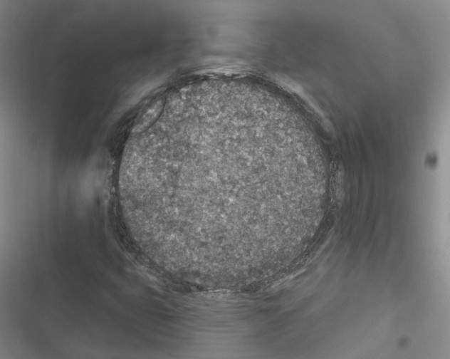X0000116431399201001191501