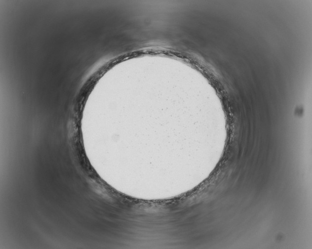 X0000116431400201001191501