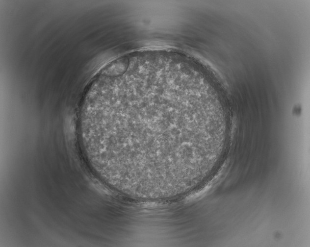 X0000116431401201001191501