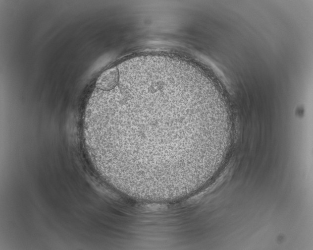 X0000116431403201001191501