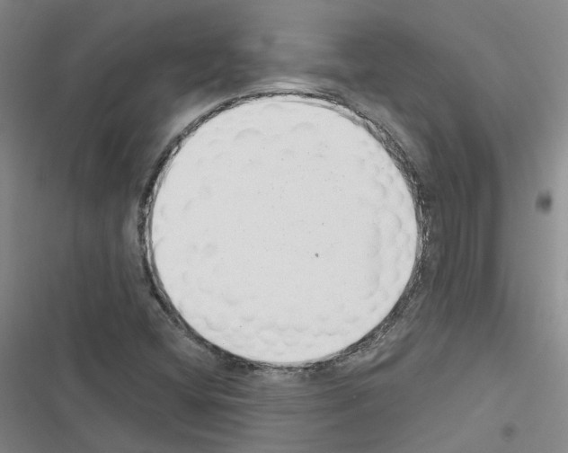 X0000116431404201001191501