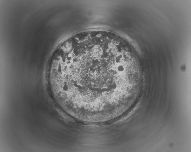 X0000116431405201001191501