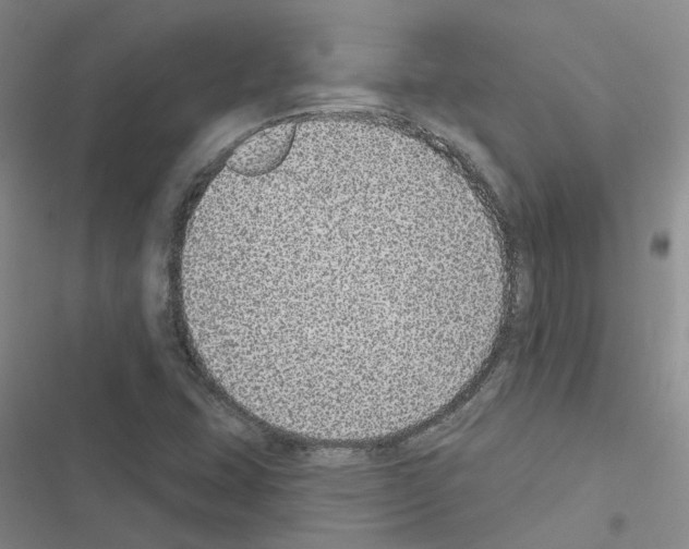 X0000116431407201001191501