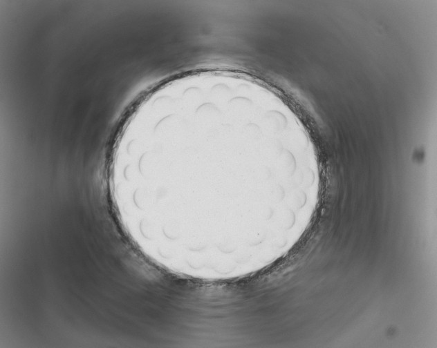 X0000116431408201001191501