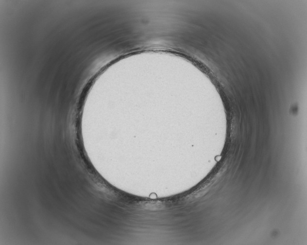 X0000116431410201001191501