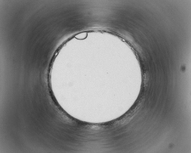 X0000116431412201001191501
