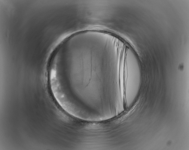 X0000116431414201001191501