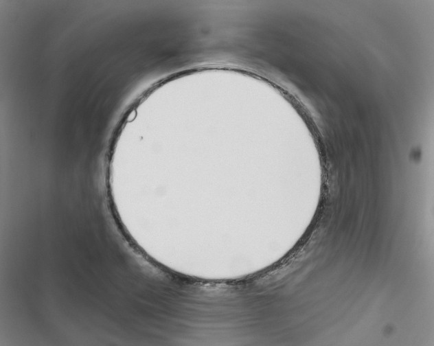 X0000116431416201001191501