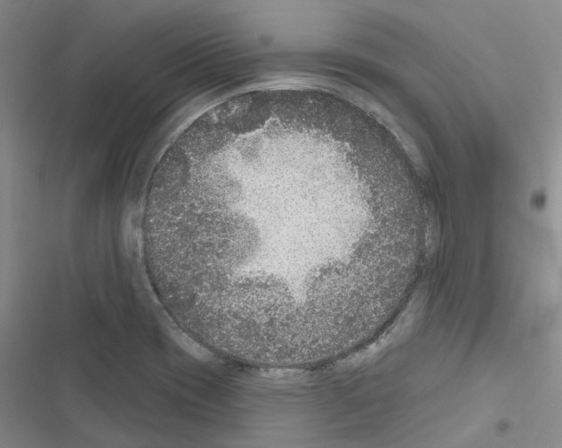 X0000116431417201001191501