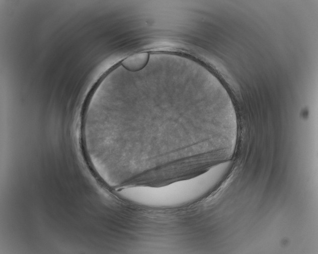 X0000116431418201001191501
