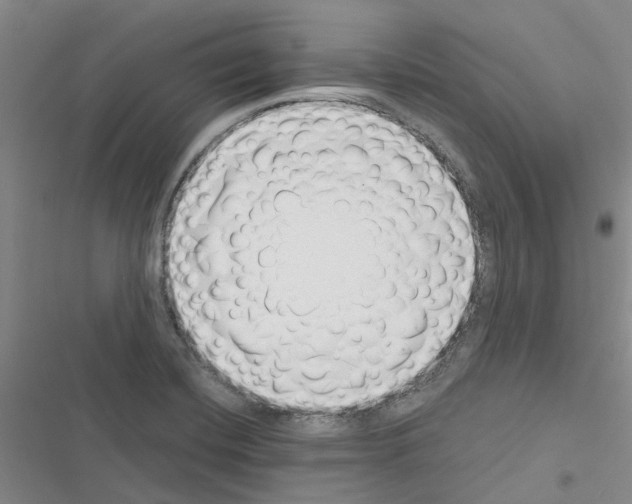 X0000116431420201001191501