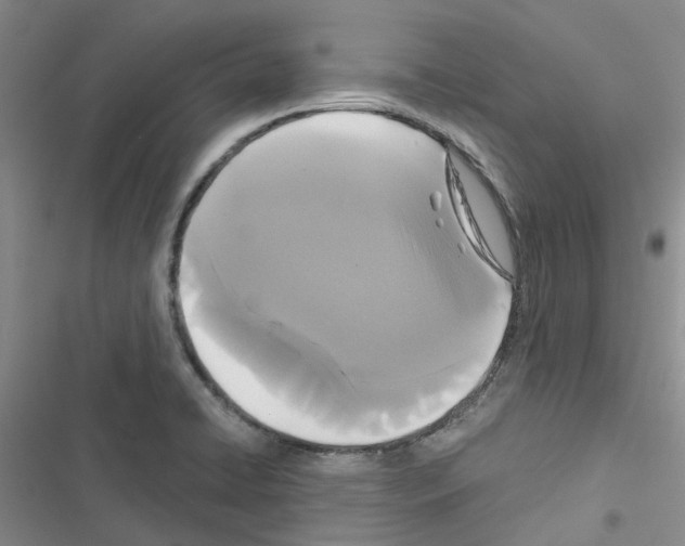 X0000116431422201001191501