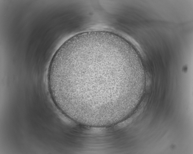 X0000116431423201001191501