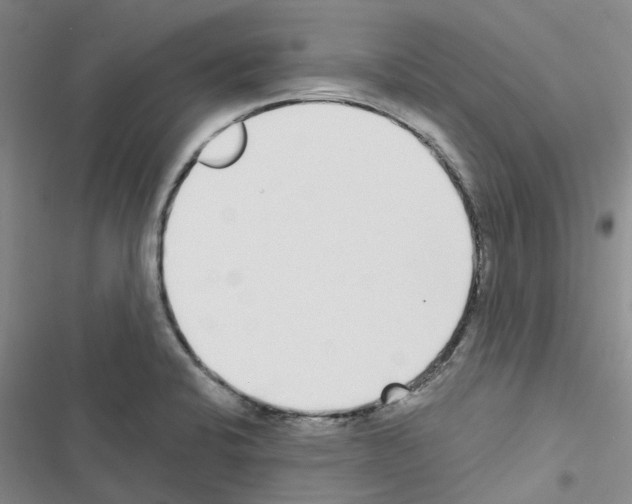 X0000116431424201001191501