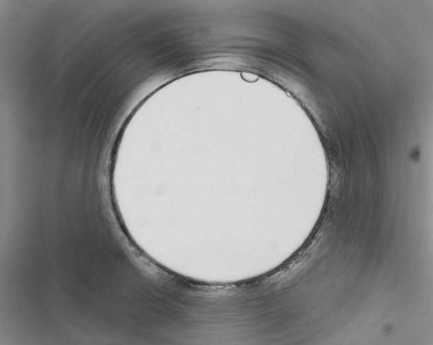 X0000116431426201001191501