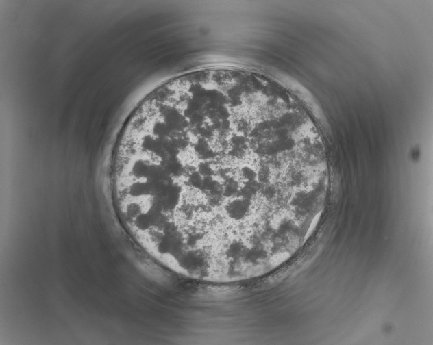 X0000116431427201001191501