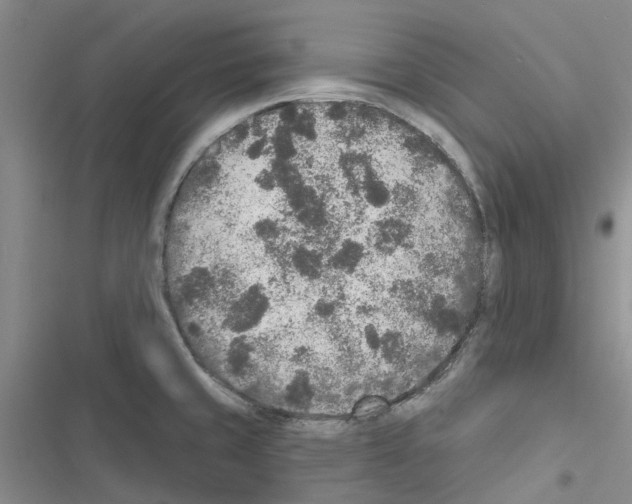 X0000116431429201001191501