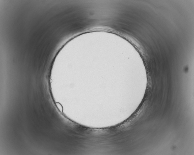 X0000116431430201001191501