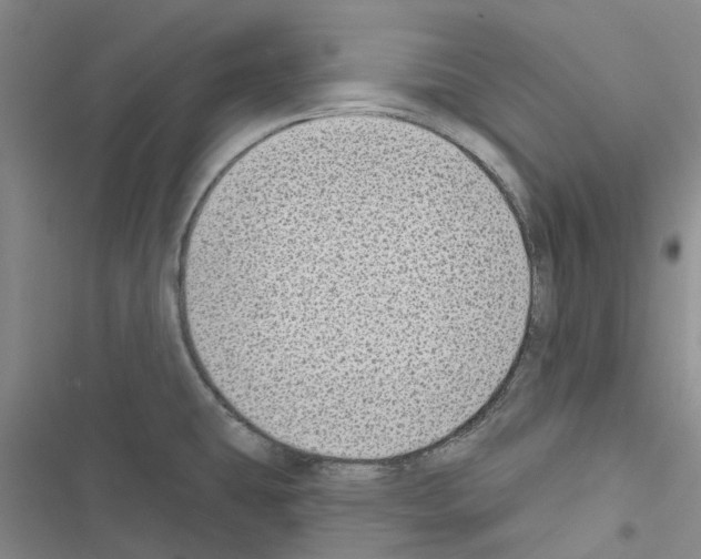 X0000116431431201001191501
