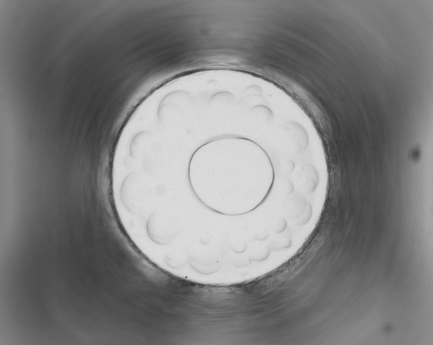 X0000116431432201001191501